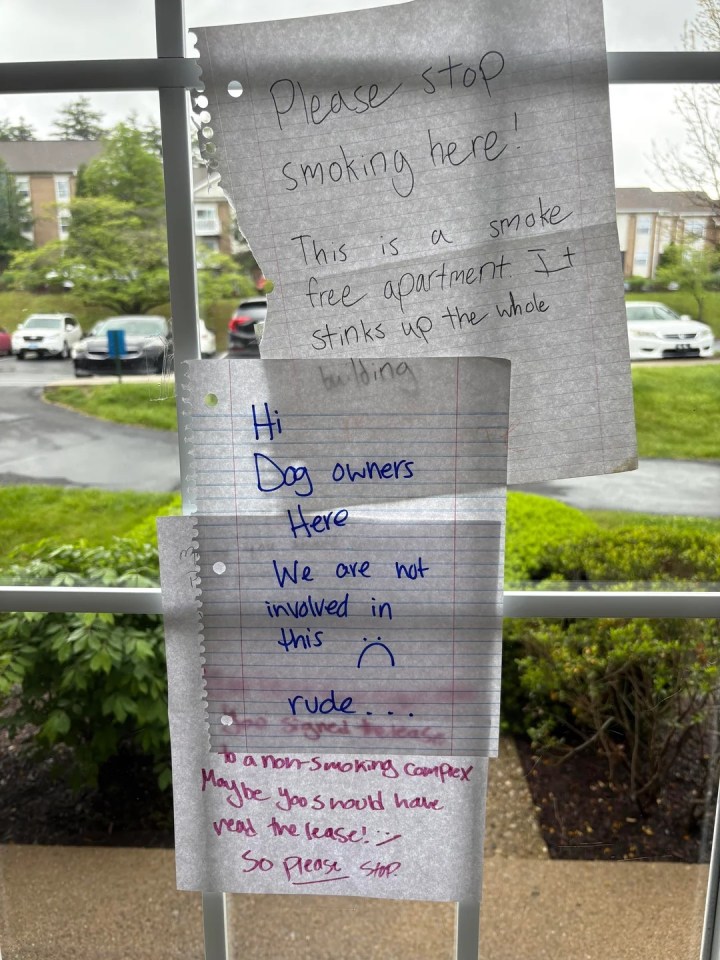 Handwritten notes on an apartment window regarding smoking and a response from dog owners.