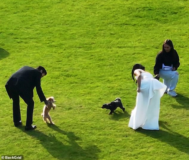 The lovebirds were joined by close friends and family as well as their three dogs, an eyewitness told DailyMail.com