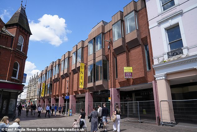 Councillor Neil MacDonald, the leader of Labour-run Ipswich Borough Council, said: 'The former Ipswich Debenhams sits at the heart of the town centre. Its stripped out, vacant state has a blighting impact on the town'