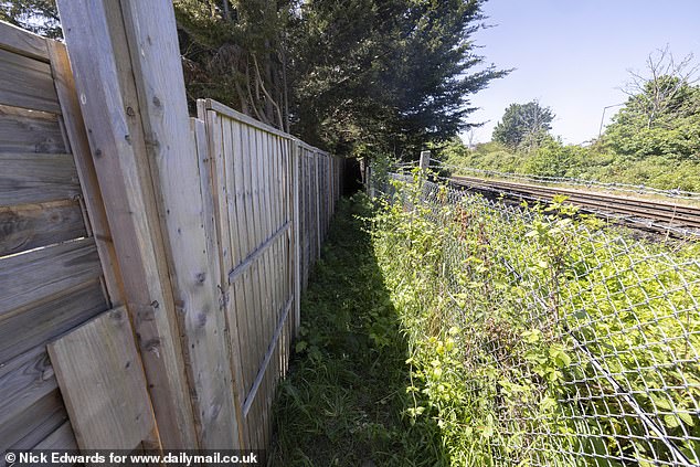 Roger accused builders of defecating in the alley and this path (pictured) behind his house