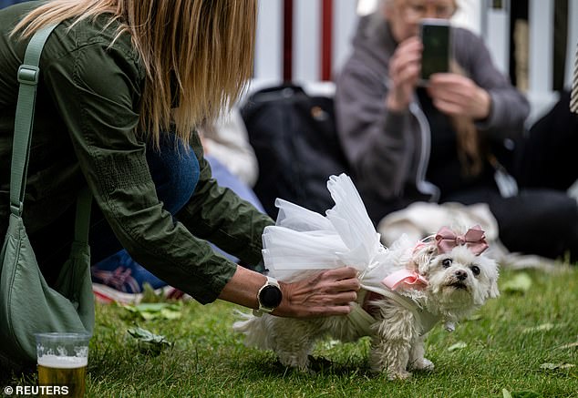 Promising an 'unforgettable day out for the whole family', Greenwich Dog show seeks to 'embrace the diversity of the canine world' and celebrate the 'joy, love and companionship that dogs bring to our lives'