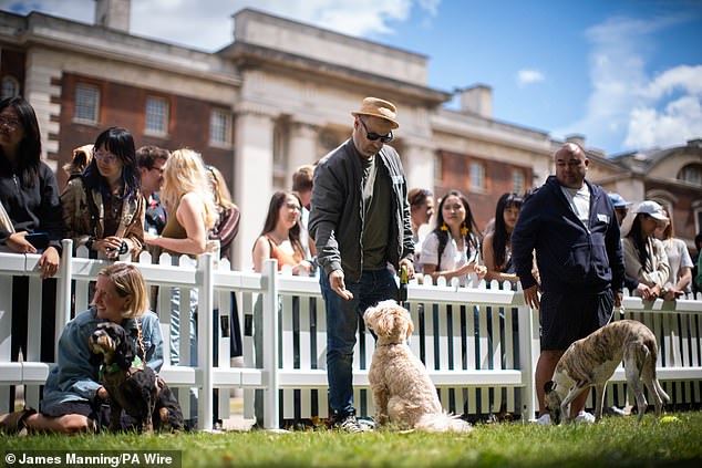 With free entry, but a fee of £10 to enter the competition, any profits made from the show went towards The Greenwich Foundation, a charity that seeks to conserve the Old Navy College site for future generations