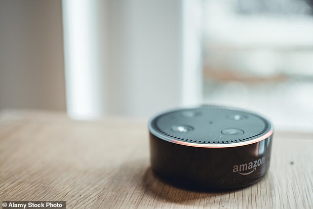 Shipp went as far as accessing an Alexa device in the woman's property where he said 'Wakey, wakey' through the connected microphone (Stock Image)