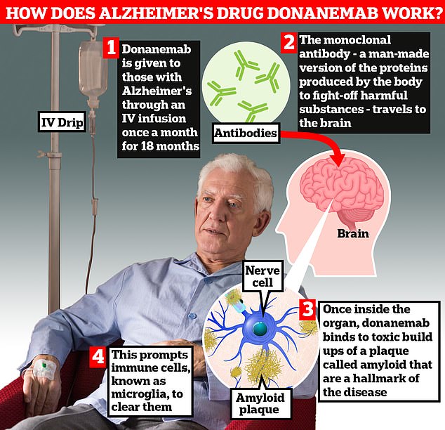 Lecanemab and donanemab were hailed as 'the beginning of the end' of dementia last year, after studies showed the drugs slowed the progression of memory-robbing illness in its early stages by up to 35 per cent