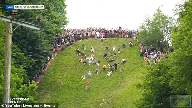 Hordes have been tumbling down Cooper's Hill in Gloucestershire today chasing cheese