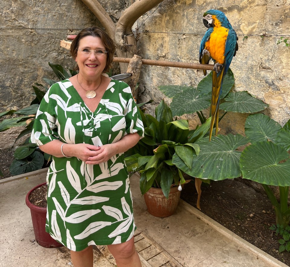 Woman in green dress with a blue and yellow macaw.