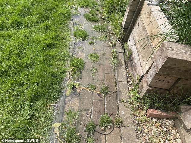 Mr Walker claims that Thames Water sent out an employer to check the leak and they found that it was gushing out '900 litres of water per hour'