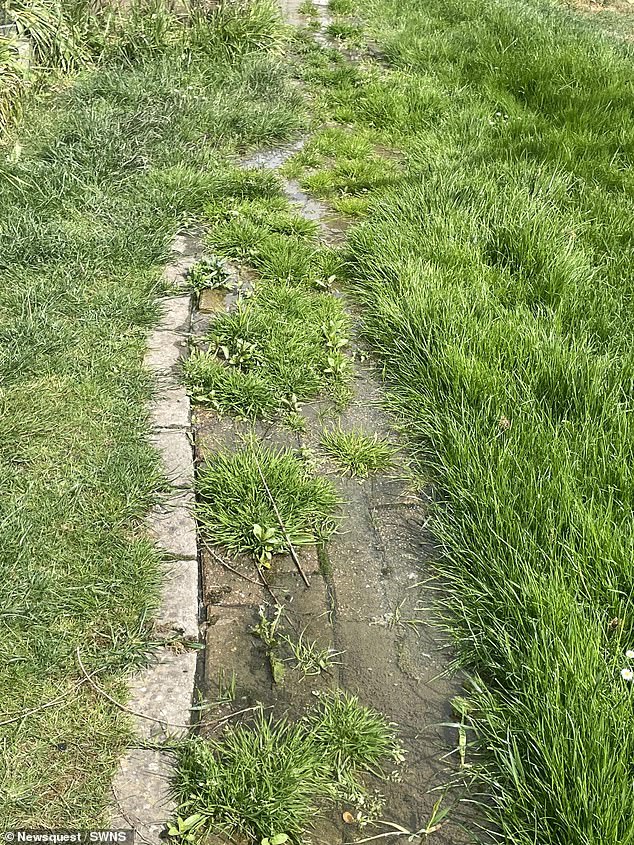 Mr Walker, of Purton, Wiltshire, said: 'The issue is we own our property, which is where the water is coming down to, but the issue originates in our neighbour's property, which is owned by Green Square.