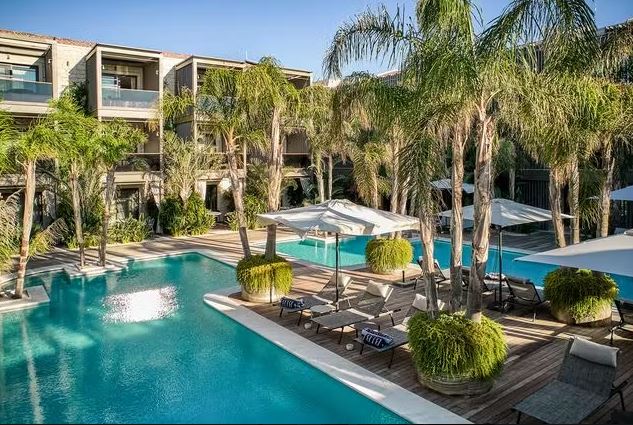 Hotel pool and surrounding area with palm trees and lounge chairs.