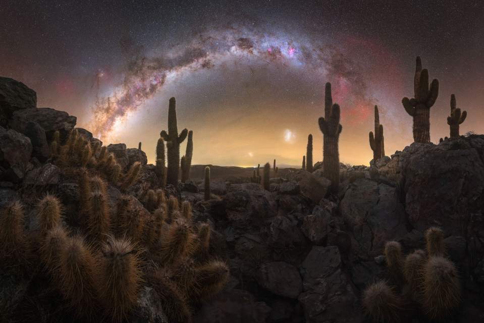 Milky Way arching over cacti in a rocky desert at night.