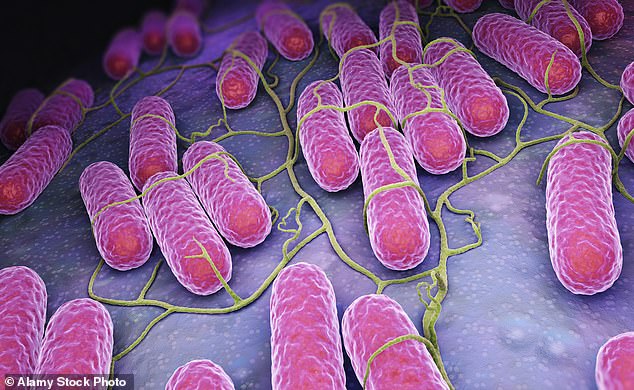 In 2024, health experts warned of an increase in large outbreaks of salmonella linked to melon consumption.