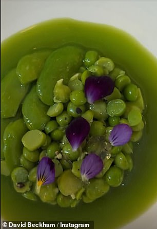 David shared an array of snaps of the delicious dishes including a 'chilled legume salad with glazed spring peas, garlic aioli, and snow pea relish, finished with a minty spring pea broth'