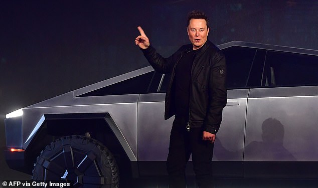 CEO Elon Musk's controversial role in the Trump White House prompted worldwide protests of Teslas and sent it stock plummeting