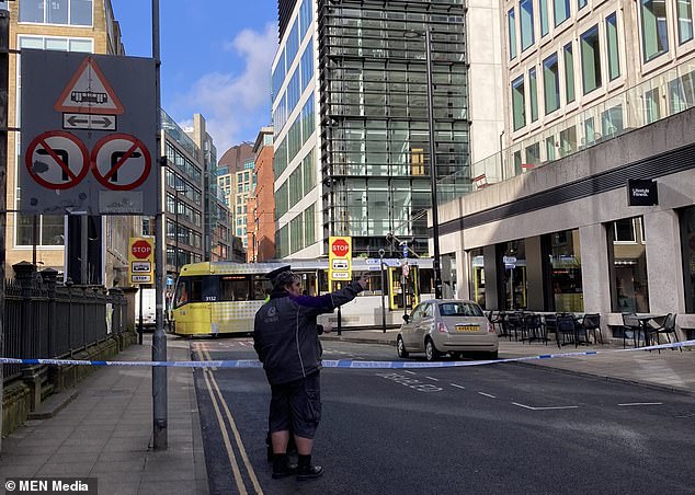Rawal Rehman, 36, pleaded guilty to death by dangerous driving last month following the death of Louisa 'Lulu' Palmisano in Manchester city centre in February