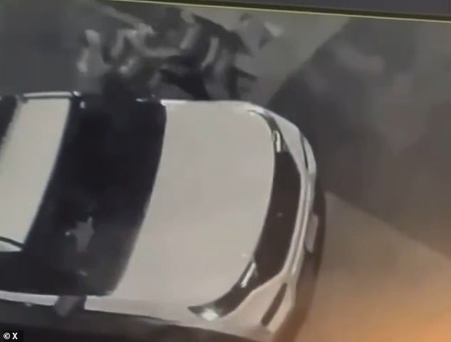 Shocking footage captured the moment two female Secret Service agents fought with each other outside former President Barack Obama's DC home