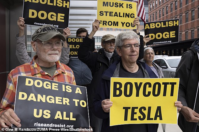 Tesla also faced a downturn in stock prices as Musk's reputation suffered harm during his work with DOGE