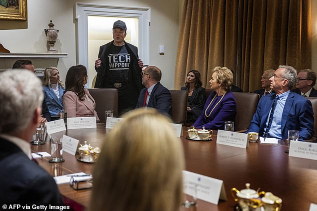 Musk had extraordinary access during Trump's first few months in power, showing off his 'Tech Support' shirt during the first cabinet meeting as he was given the floor to speak first