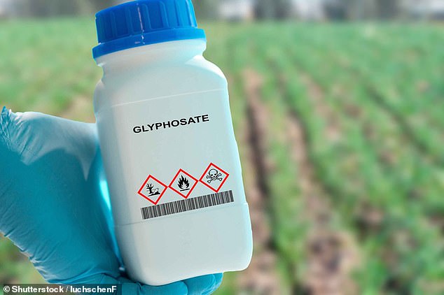 Glyphosate is the world's most popular weedkiller but it is 'probably carcinogenic to humans', according to the WHO