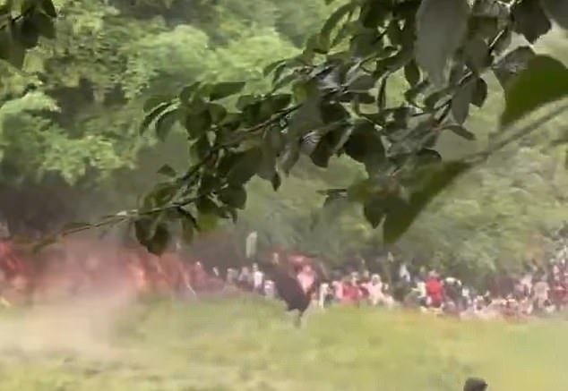 He could be seen doing a cartoon-style flip down Cooper's Hill in Gloucestershire before landing flat on his back