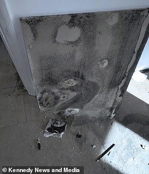 Mr Langsworth claimed that the extensive mould in his property was 'redecorated over' rather than treated appropriately