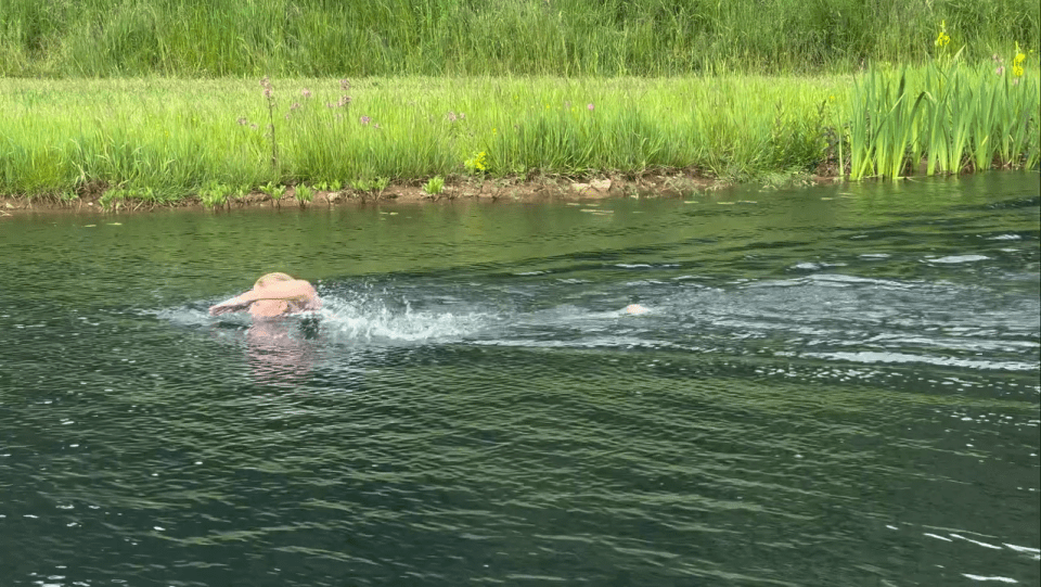 Person swimming in a lake.