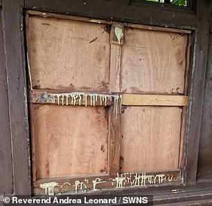 Thieves are said to have carried out the cruel operation under the cover of night