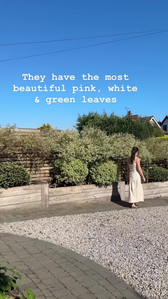 Woman standing in front of a fence with pink, white, and green plants.