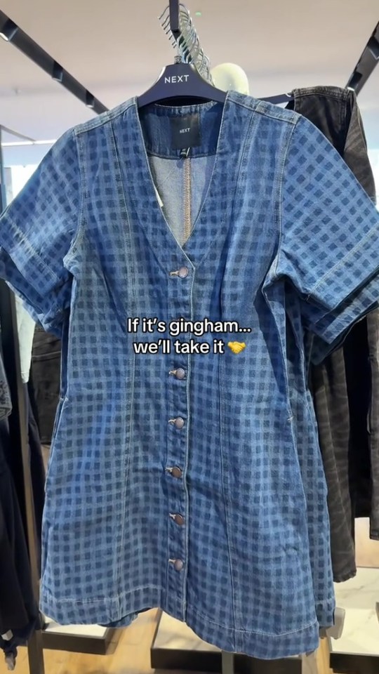 Blue gingham denim dress on a hanger.
