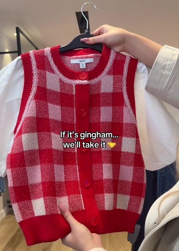 Red and white gingham knit vest.