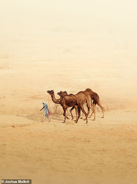 Joshua Mallett, winner of the Portfolio category, snapped this photo as part of his mission to 'form a visual narrative of places shaped by nature and history, where past and present meet in striking harmony'