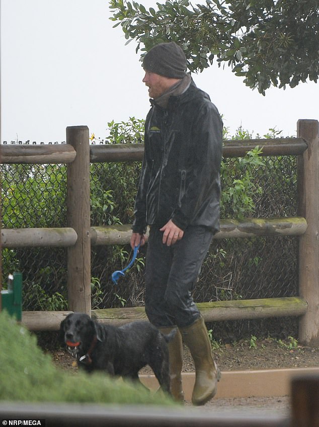 The Duke of Sussex isn't seen out often, unless walking the dog or going on the school run, locals claim