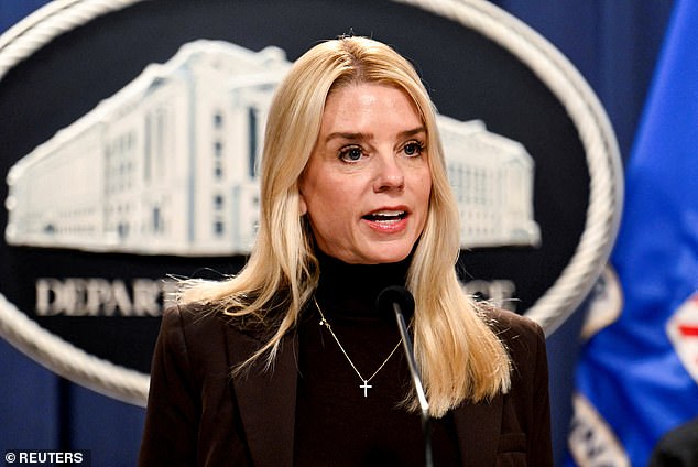 Attorney General Pam Bondi made good on that promise the following month, releasing what she called 'phase one' of the long-anticipated files