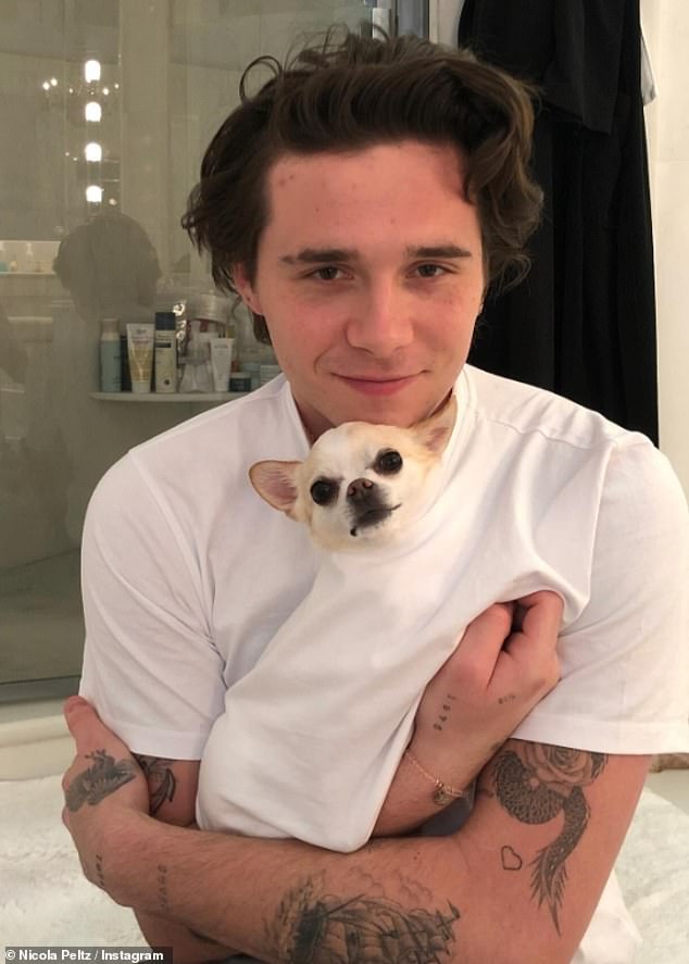 Nicola - married to Brooklyn Beckham, the eldest son of soccer icon David Beckham -was recently ordered to submit Nala’s post-mortem report by July 1