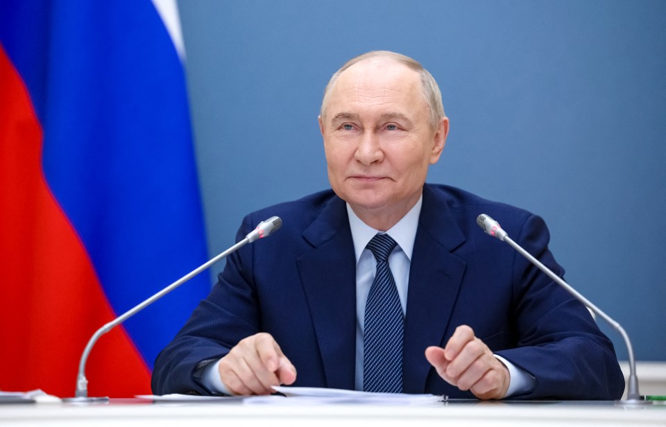 Vladimir Putin at a videoconference.
