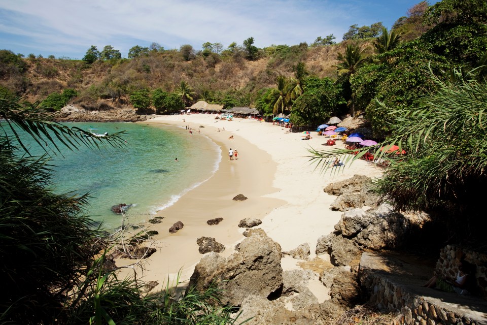 Beach in Puerto Escondido, Mexico with palm trees and people.