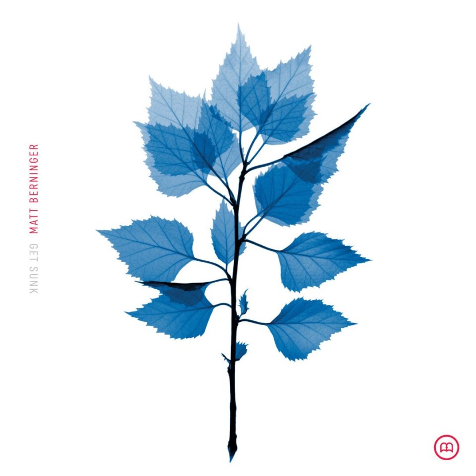 Blue illustration of a branch with leaves.
