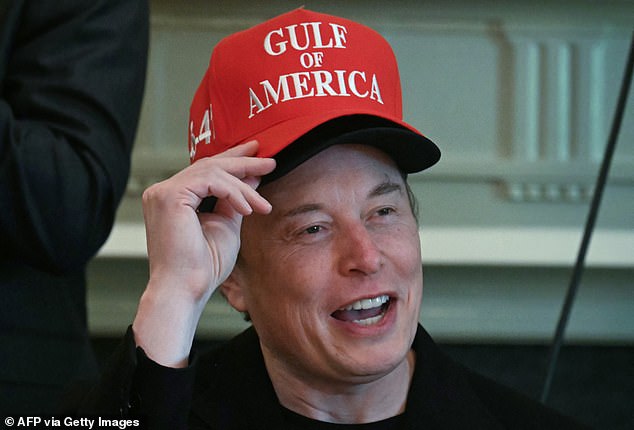 Elon Musk, wearing two hats, speaks during a cabinet meeting in the Cabinet Room of the White House