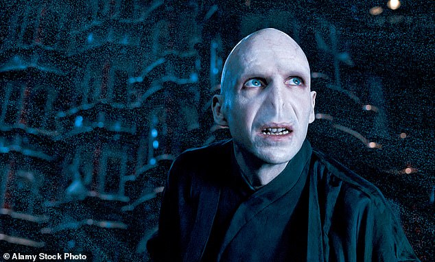 Ralph Fiennes played the dark lord sublimely in the original eight Harry Potter films