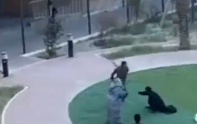 A woman tries to defend herself as she is attacked on the ground