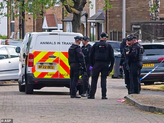 Armed police and specialist dog handlers pictured at the scene of the attack on Baslow Road, Denton