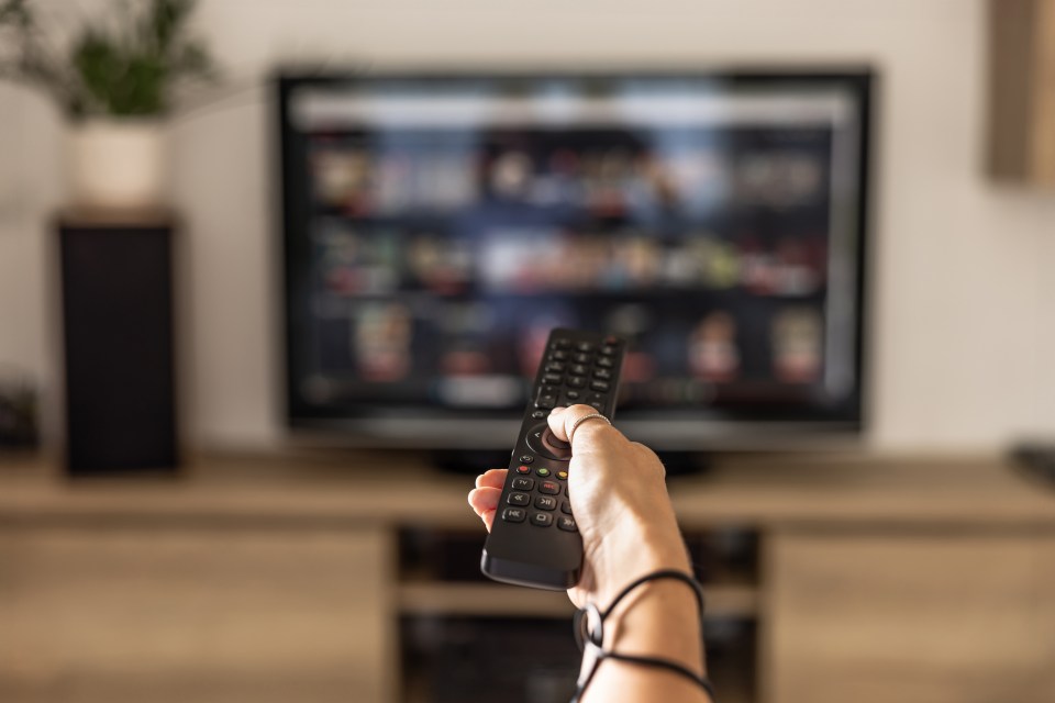 Woman's hand holding a TV remote.