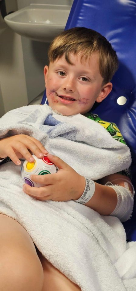 The young lad was rushed to hospital