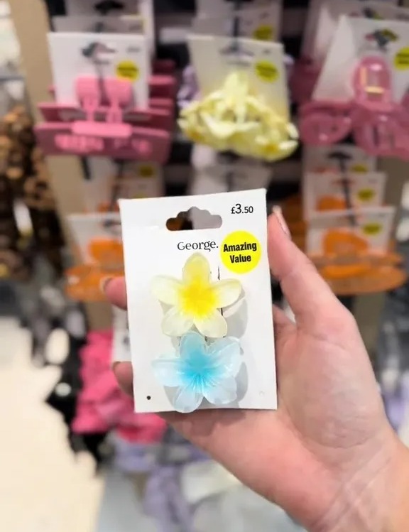 Hand holding a package of two flower-shaped hair clips.