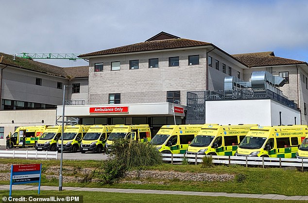 In December 2024, Royal Cornwall Hospital Trust, pictured, installed 86 solar panels made by Chinese firm Longi at a new £9 million outpatient department at West Cornwall Hospital