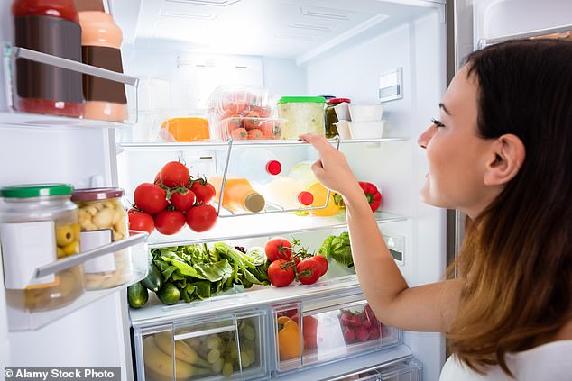 Scientists have warned that many fridges are not cold enough to prevent bacterial growth. Leaving the doors open for too long can make this worse, as it allows warm air to enter (Stock image)