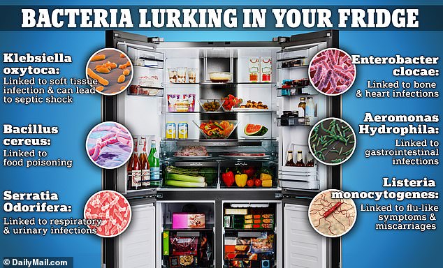 Scientists say that the invisible microbes in your fridge are linked to respiratory and urinary infections, food poisoning, and miscarriages among pregnant women