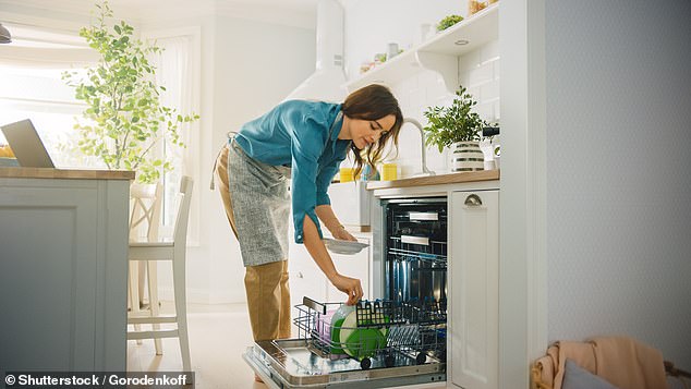 Scientists found mechanical dishwashing of plastic plates, bowls, cups and cutlery leads to the release of micro and nano-sized particles that may eventually infiltrate the brain (Stock image)