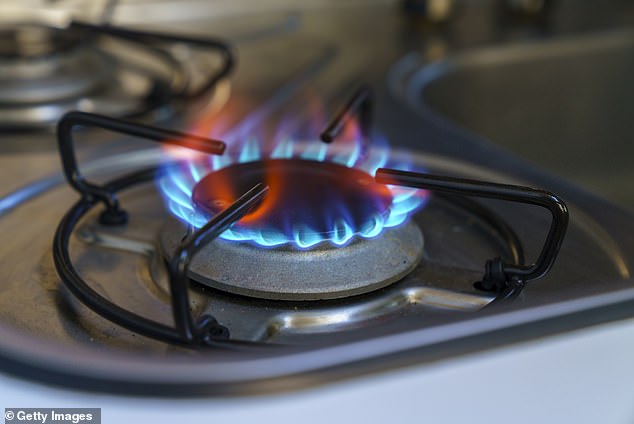 Researchers found that stoves using gas and propane added up to a yearly exposure to nitrogen dioxide of 4 parts per billion, which they estimated was responsible for roughly 50,000 childhood asthma cases