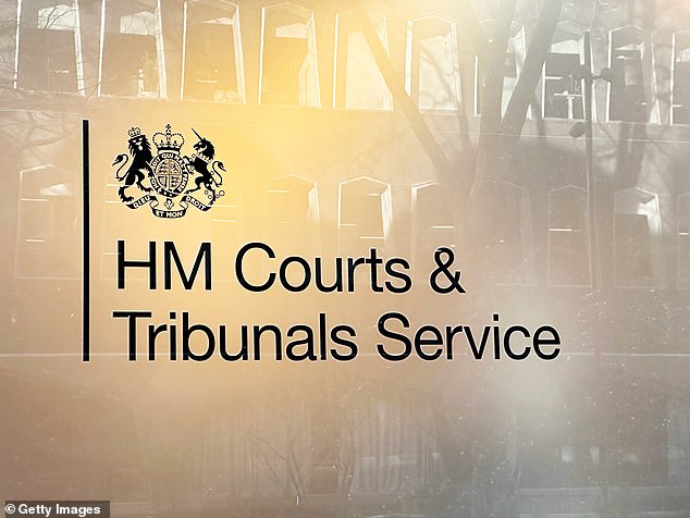 The court's decision is said to have overruled a Home Office and council assessment who had claimed his physical appearance 'very strongly suggested' he was 'significantly over 18' and that he was likely to be around 24 (Stock Image)