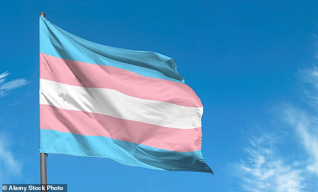 If the move had been accepted it would would have been a first for the health service who currently offer no advice for trans people who use these methods to appear less masculine or feminine (Pictured: Stock image of trans flag)